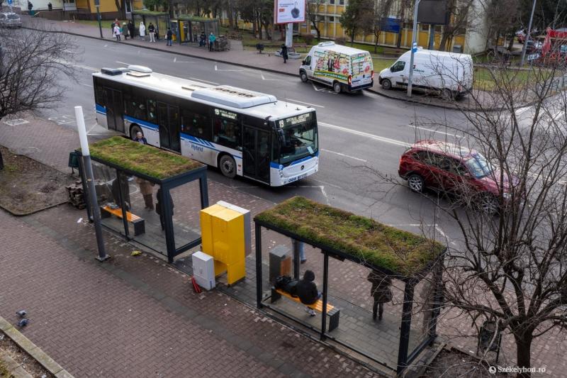 Ingyenes buszjáratok várják az érdeklődőket a Múzeumok Éjszakáján Marosvásárhelyen | Székelyhon

A Múzeumok Éjszakája alkalmából különleges lehetőségek várják azokat, akik felfedeznék a város kulturális kincseit. Marosvásárhelyen ingyenes buszjáratok műkö