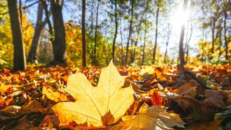 Rövidesen búcsút inthetünk a szürke, borongós napoknak, hiszen a meleg időszak közeledik.