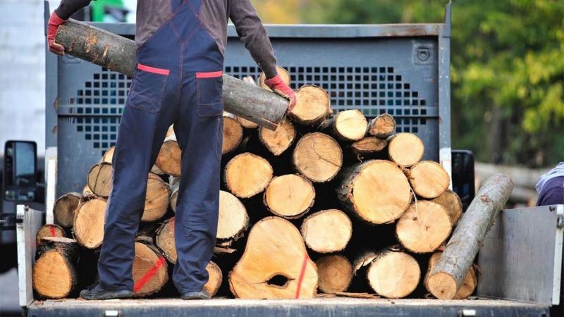 Mucsiban lehetőség nyílik szociális célú tűzifa igénylésére – figyeljen oda, hogy ne maradjon le a határidőről!
