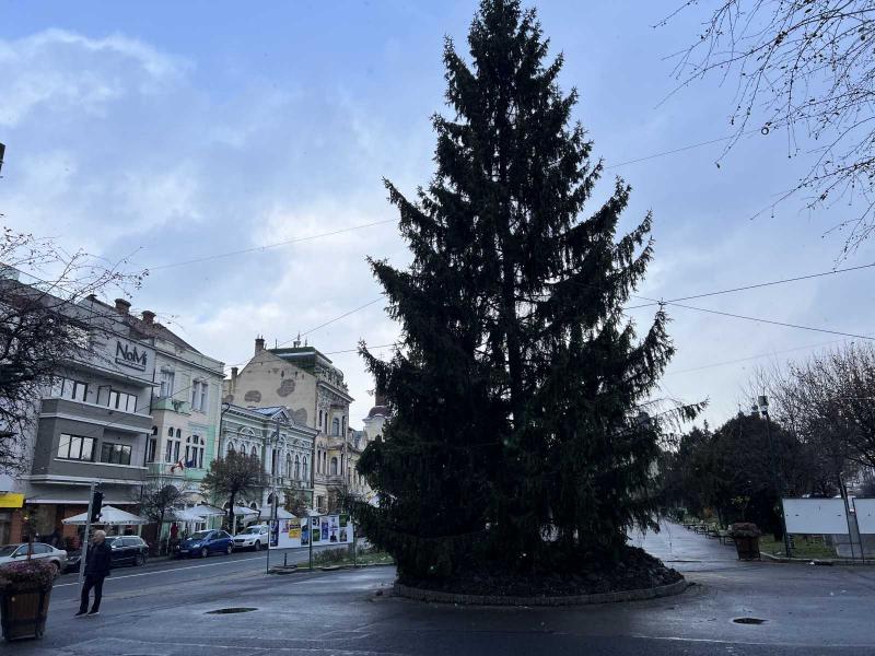 Idén Marosvásárhely főterét egy gyönyörű, természetes fenyőfa ékesíti, amely varázslatos ünnepi hangulatot teremt a város szívében.