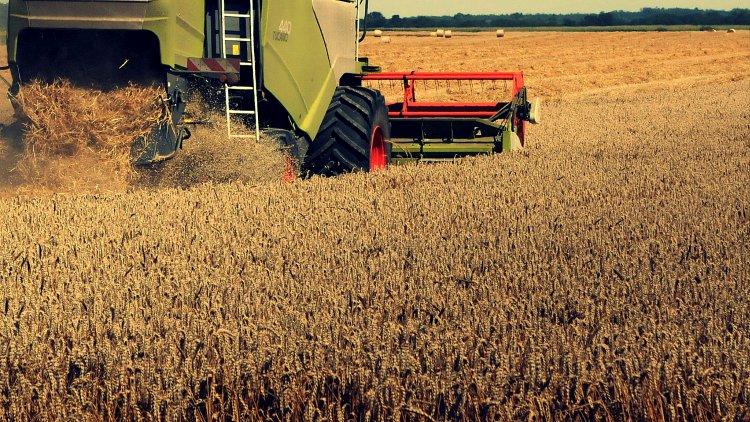 A közép-ázsiai gabonaexportőrök lenyűgöző számadatokkal kápráztatnak el minket - Agrárágazat