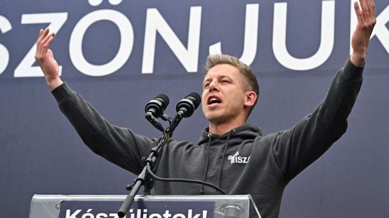 A Soros által támogatott lengyel EP-képviselő figyelmet szentel Magyar Péter védelmének.