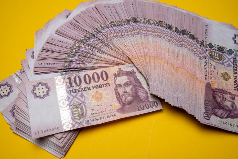 A magyar állam újabb 1400 milliárd forinttal növelte eladósodottságát, így mostantól egy államadósság-számláló segítségével figyelemmel kísérhetjük a folyamatosan gyarapodó hiányt.
